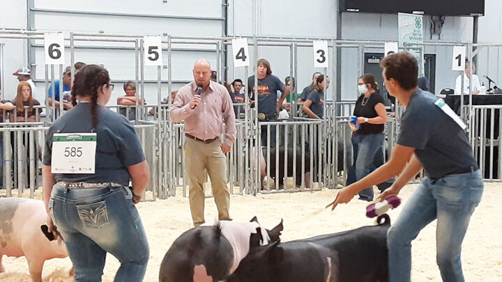 083020_SWINE SHOW 02.jpg
